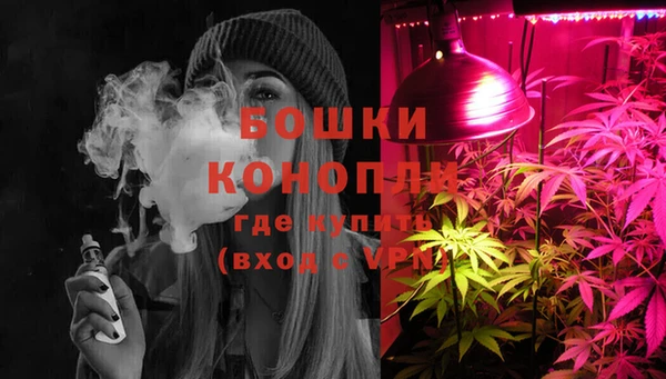 винт Абаза