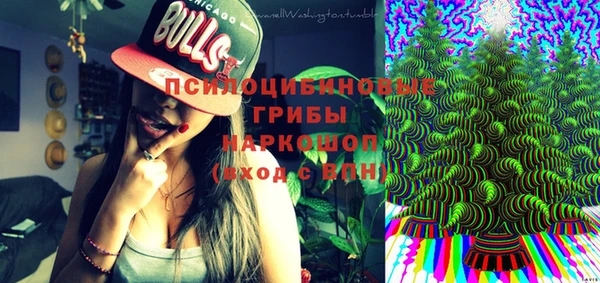 винт Абаза