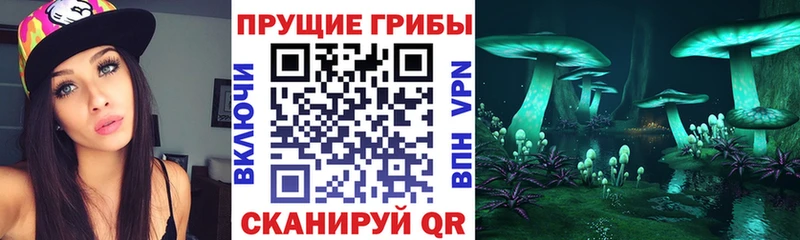 Галлюциногенные грибы GOLDEN TEACHER  Среднеколымск 